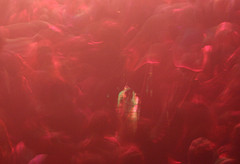 moshpit,